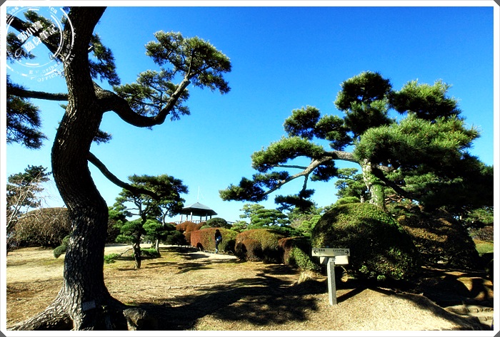 旅遊景點 神奈川箱根 恩賜公園杉並木道漫遊江戶時期步道旅遊景點 日本美食景點輕旅行 桃太郎行程精選 旅遊景點 神奈川箱根 恩賜公園杉並木道 漫遊江戶時期步道