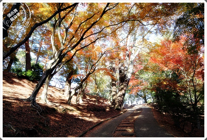 旅遊景點 伊豆修善寺 修善寺自然公園 楓葉景點 櫻花景點 國外旅遊 旅遊景點 伊豆修善寺 修善寺自然公園 楓葉景點 櫻花景點 郭小寶 呂小珊 這就是青春官方網站 美食旅遊 美食部落客 旅遊部落客 美食旅遊部落客 旅遊美食美妝部落格