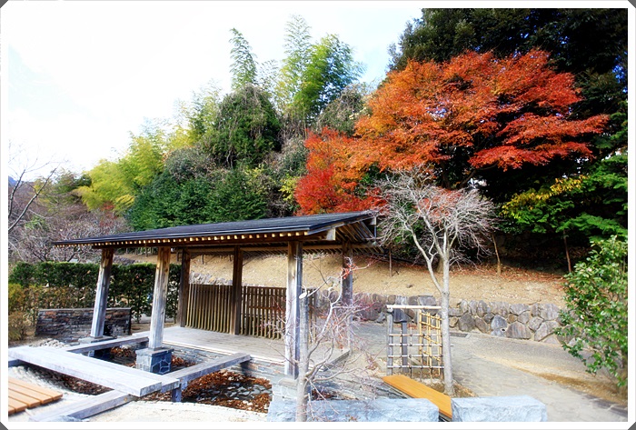 旅遊景點 靜岡熱海 梅園 澤田政廣美術館 韓國庭園 中山晉平 紀念館 楓葉景點 梅花景點 國外旅遊 靜岡 長野 愛知 山梨縣go 旅遊景點 靜岡熱海 梅園 澤田政廣美術館 韓國庭園 中山晉平紀念館 楓葉景點 梅花景點 郭小寶 呂小珊 這就是青春官方網站