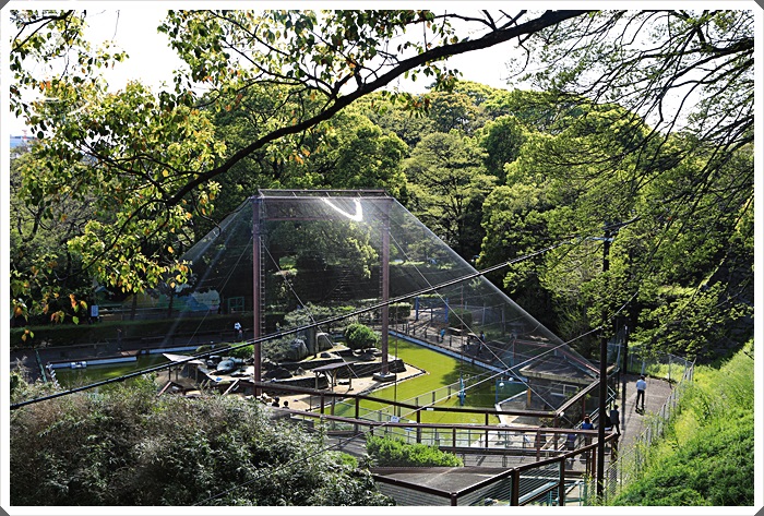 旅遊景點 和歌山市 絕美壯觀的和歌山城 日本三大連立式平山城 櫻花景點 國外旅遊 大阪 京都 兵庫 奈良縣go 旅遊景點 和歌山市 絕美壯觀的和歌山城 日本三大連立式平山城 櫻花景點 郭小寶 呂小珊 這就是青春官方網站 美食旅遊 美食部落客 旅遊部落客