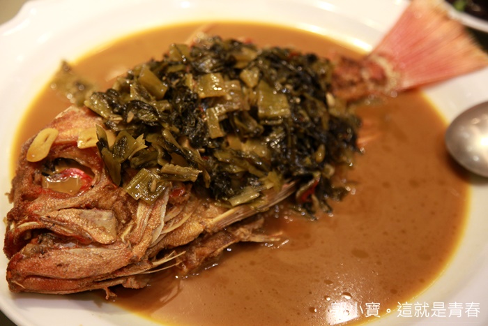 食記美食 台北萬華 熱海海鮮餐廳 老萬華人的現撈活海鮮超彭湃料理 捷運龍山寺站 老萬華在地人的海鮮餐廳老店 郭小寶全省食況轉播 台式料理 台式熱炒 海產攤 食記美食 台北萬華 熱海海鮮餐廳 老萬華人的現撈活海鮮超彭湃料理 捷運龍山寺站 老萬華